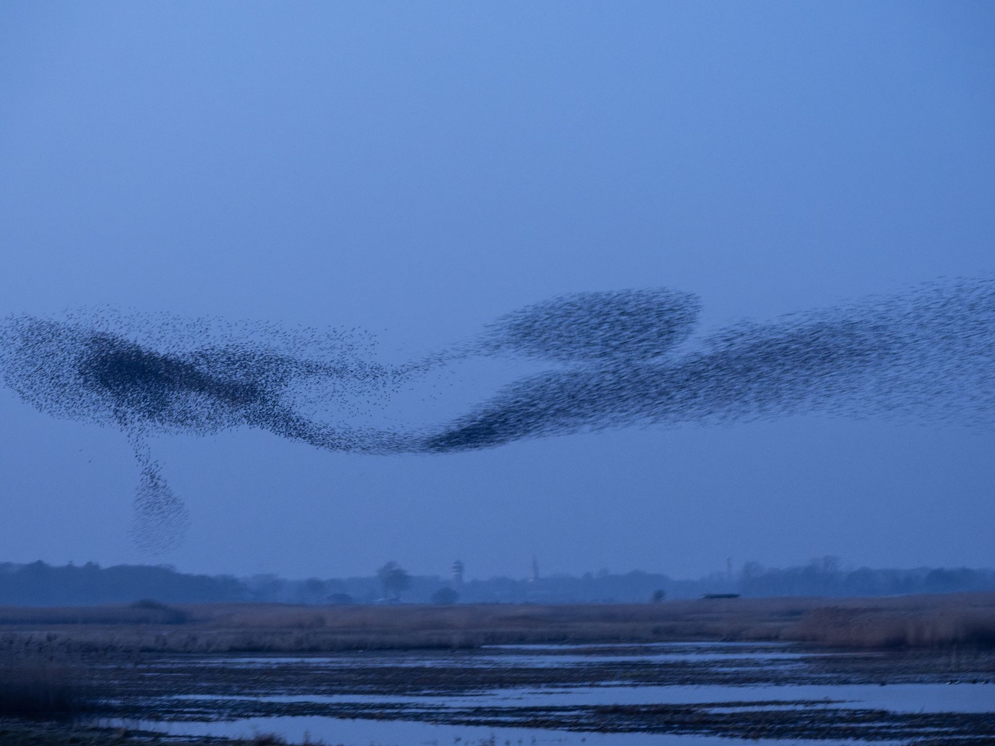 260319 2000 J  2JR0290 DxO DeepPRIME 3